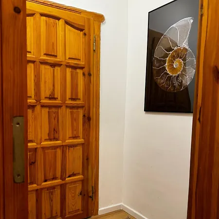 Noy'z In Der Belebten Neustadt *