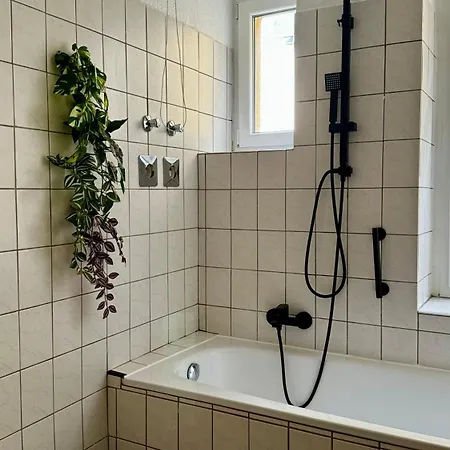 Noy'z In Der Belebten Neustadt