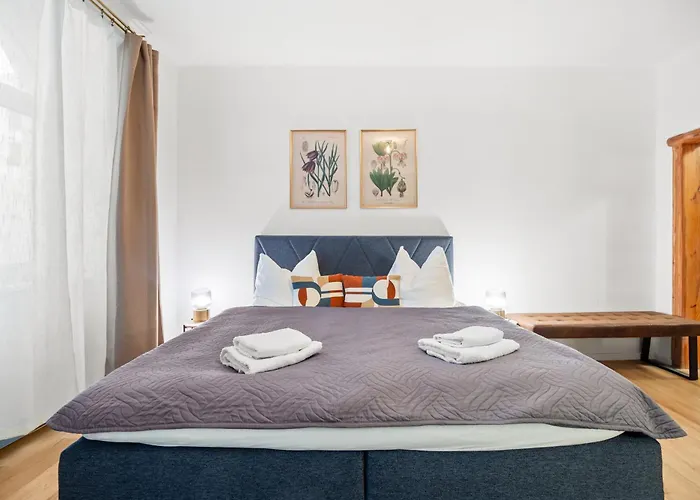 Noy'z In Der Belebten Neustadt